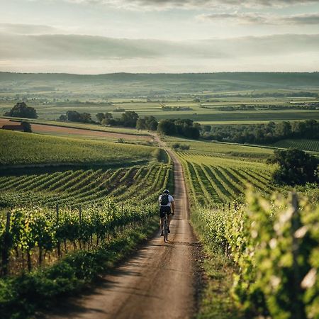 Falkensteiner Balance Resort Stegersbach - Adults Only Dış mekan fotoğraf Vineyards in the Moselle region