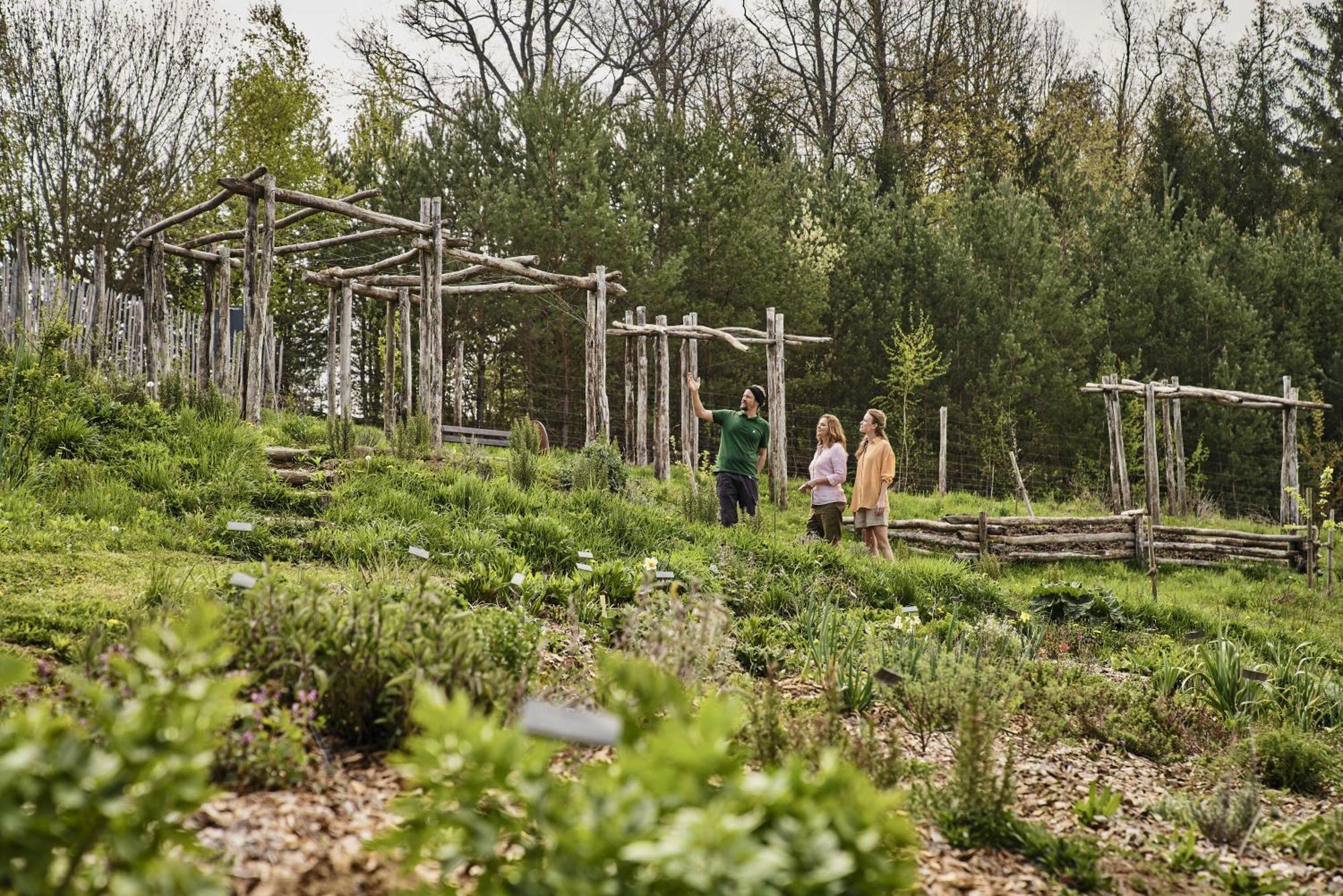Falkensteiner Balance Resort Stegersbach - Adults Only Dış mekan fotoğraf The Native American Garden